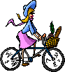 biciclette 27